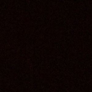 Meet your Posher, Ernesto